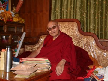 trulshik-rinpoche-197