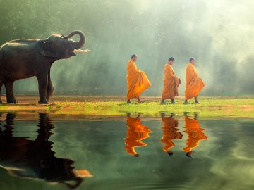 buddhist-monks-elephant