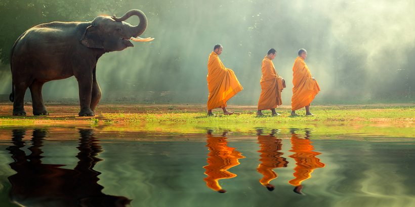 buddhist-monks-elephant