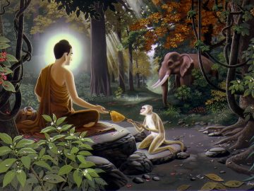 buddha01-53