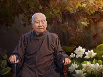hoa-thuong-thich-thanh-tu