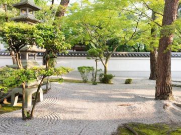 viber_image_2021-10-25_21-21-08-990